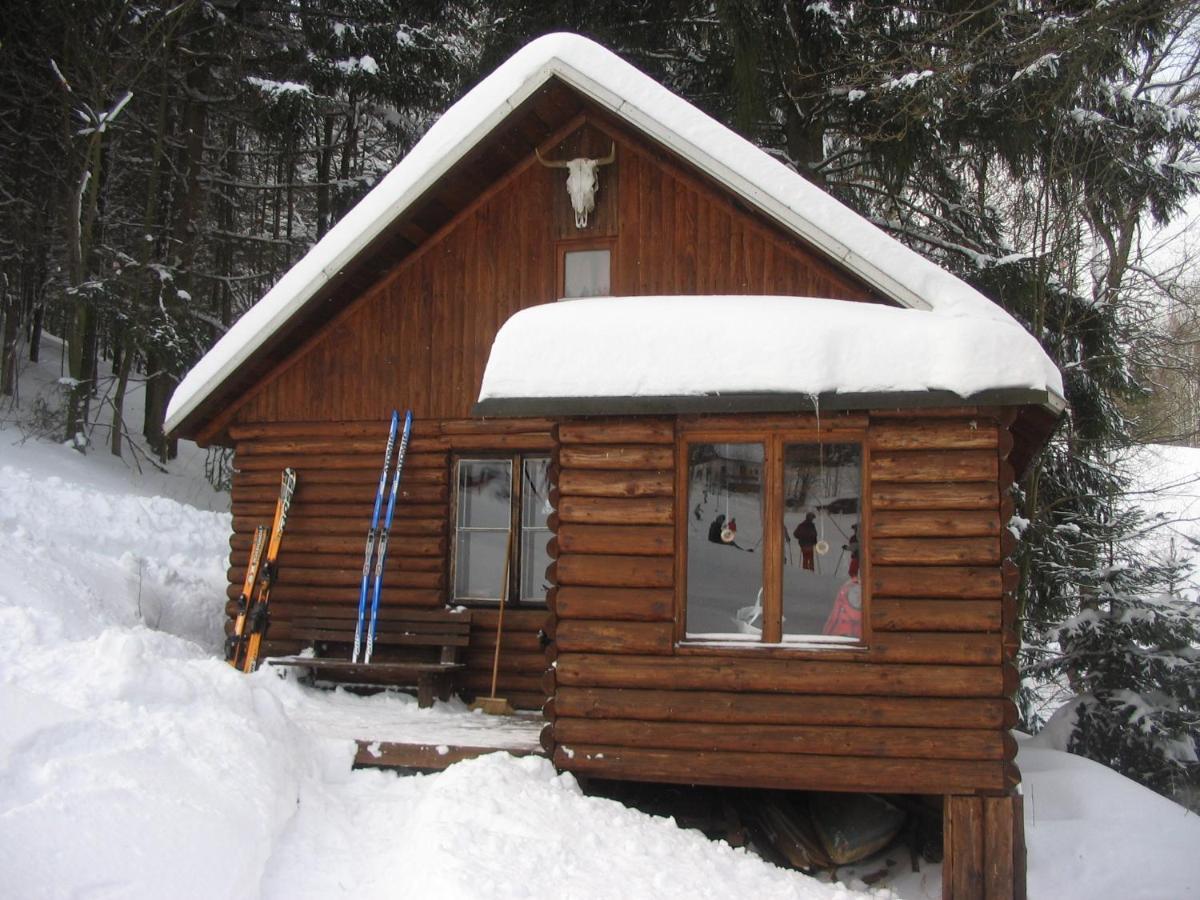 Srub Na Svahu Sjezdovky V Radvanicich Villa Radvanice  Eksteriør bilde